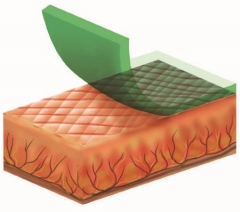经皮给药系统 (TTS)