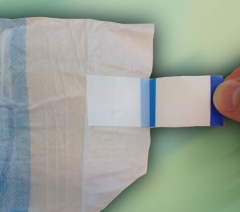 封闭胶带 Polypropylene type with/without Hook